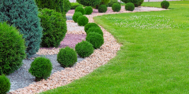 Shrub and Tree Installation in Northport, Alabama