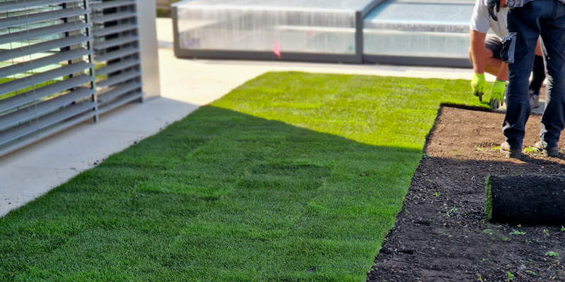 Sod Installation in Northport, Alabama